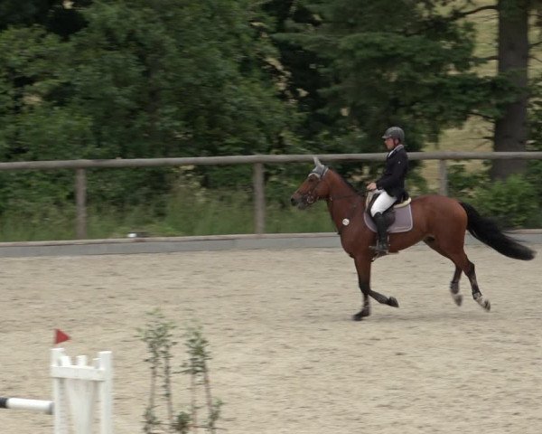 Reitturnier Erkrath - Uhlenhof 2022