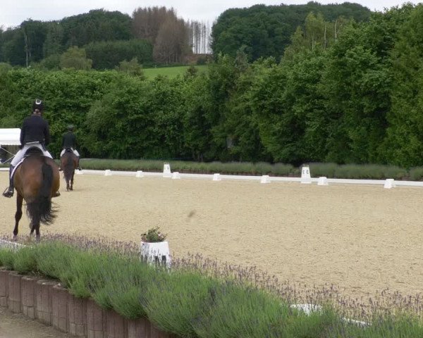 Reitturnier Lindlar - Reitanlage Dückers 2022
