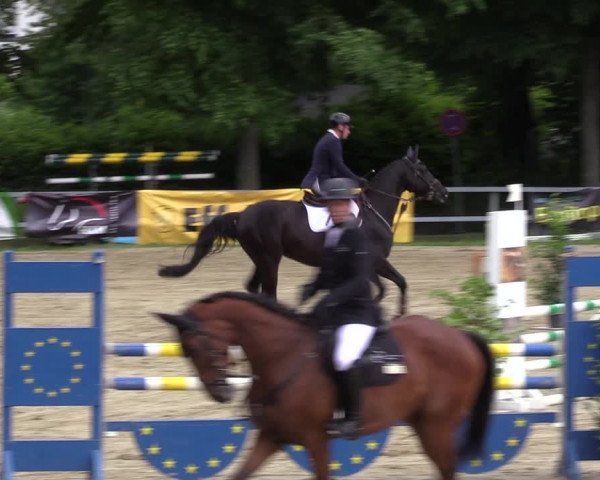 Reitturnier Letmathe 2022