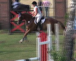 dressage horse Danny Dejavue (Westphalian, 2000, from Danny de Vito 2)