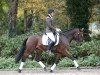 dressage horse Terbofen's Celina (German Riding Pony, 2006, from Apslau xx)