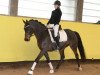 dressage horse Sietlands Dana Cavallina (German Riding Pony, 2008, from Dance Star AT)