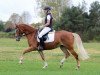 broodmare Pilara 4 (German Riding Pony, 2008, from Pilatus)