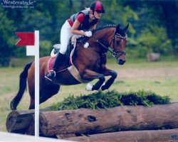 dressage horse Maja (German Riding Pony, 2004, from Kennedy WE)