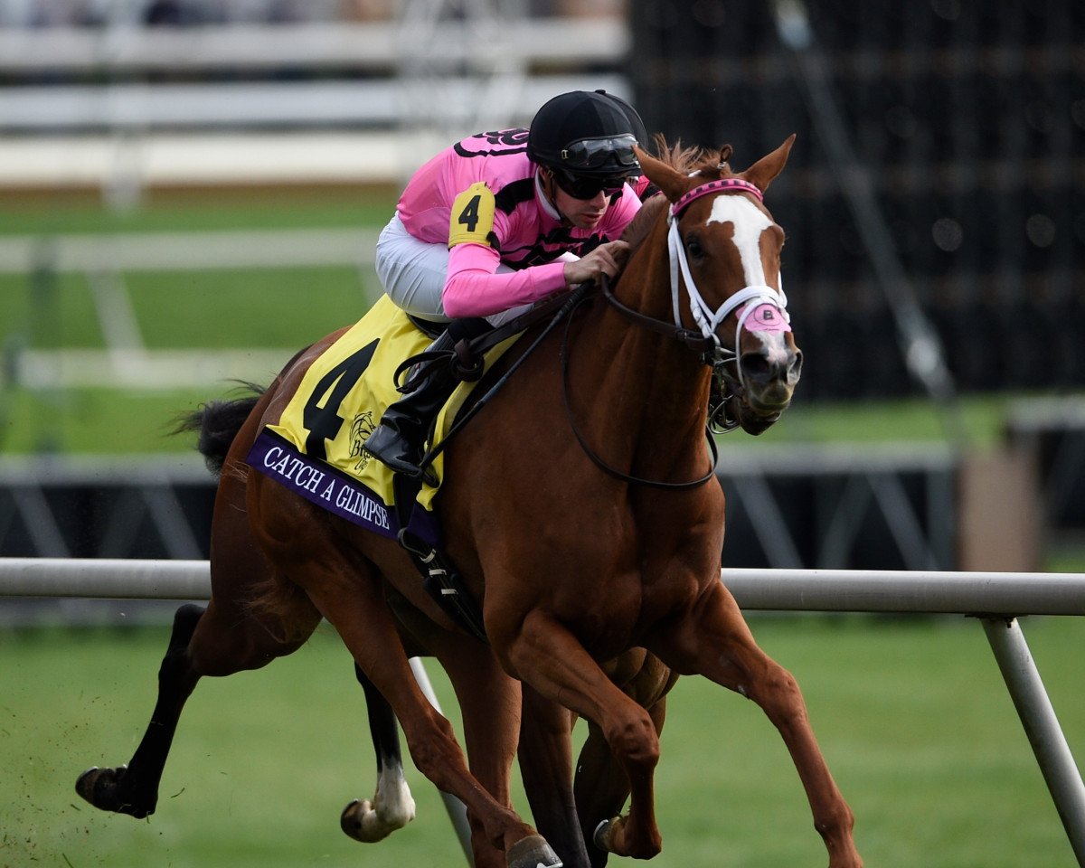broodmare Catch A Glimpse xx (Thoroughbred, 2013, from City Zip xx)