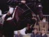 broodmare Ladina (KWPN (Royal Dutch Sporthorse), 1993, from Grannus)