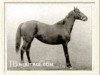 broodmare Fairy Gold xx (Thoroughbred, 1896, from Bend Or xx)