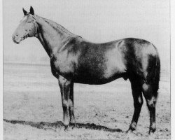 stallion Friar's Rock xx (Thoroughbred, 1913, from Rock Sand xx)