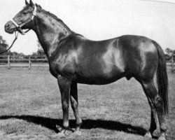 stallion War Relic xx (Thoroughbred, 1938, from Man o' War xx)