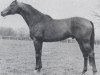 stallion Ballyboy xx (Thoroughbred, 1965, from Ballymoss xx)