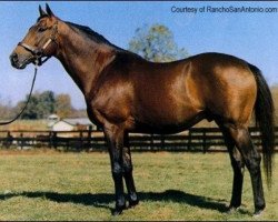 stallion Vaguely Noble xx (Thoroughbred, 1965, from Vienna xx)