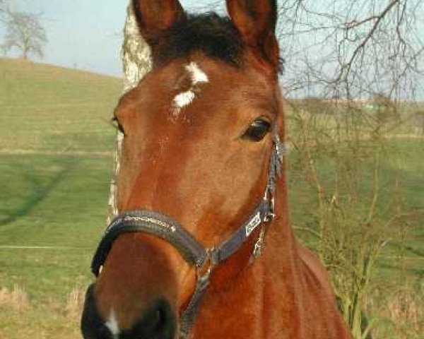 broodmare Wake Up (Württemberger, 1988, from Welt As)