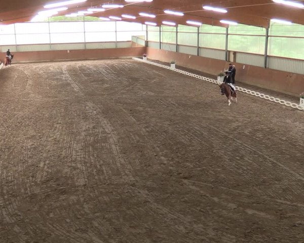 Reitturnier Reken 2022