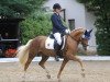 dressage horse Laybee (German Riding Pony, 2003, from Wagria Contigo)