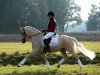 dressage horse Dangast (German Riding Pony, 2008, from FS Don't Worry)