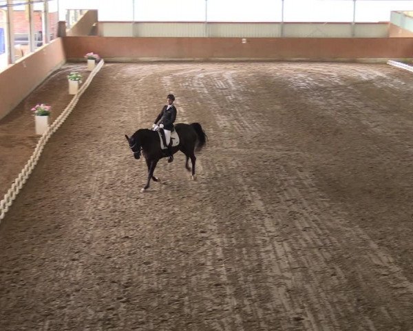 Reitturnier Reken 2022