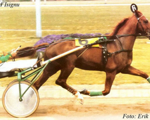 stallion Lutin d'Isigny (FR) (French Trotter, 1977, from Firstly (FR))