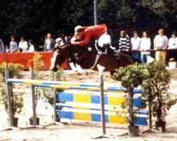 broodmare Lady's Love (Zweibrücken, 1983, from Lord)