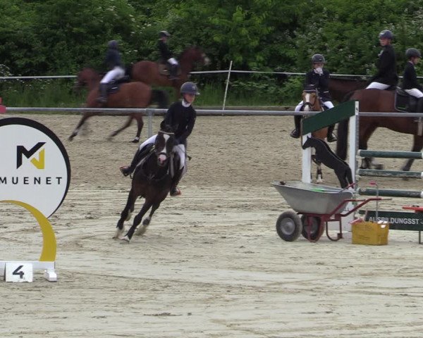 Reitturnier Ascheberg 2022