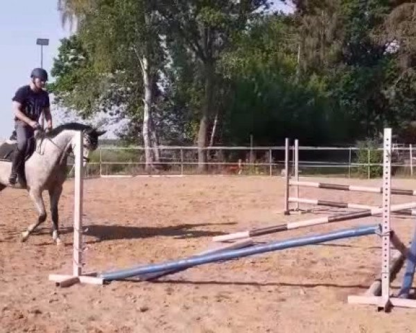 Video of Gregory Z