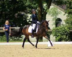 dressage horse Carlotta H 4 (German Riding Pony, 2014, from FS Champion de Luxe)