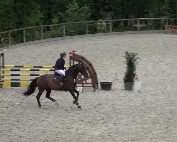 Reitturnier Erkrath - Uhlenhof 2022