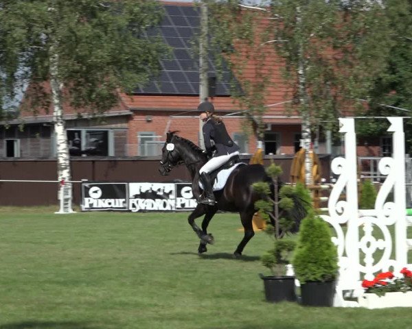Reitturnier Hille 2022