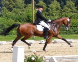 dressage horse Escolano B (Westphalian, 2005, from Sibirian Express)