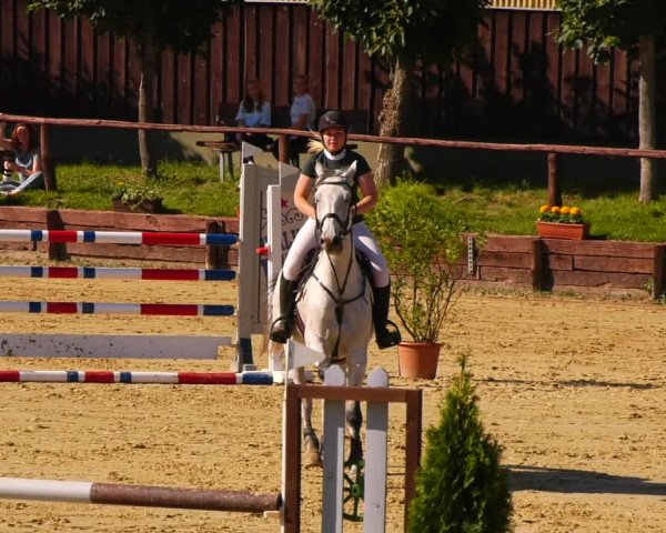 Reitturnier Schönfeld 2022