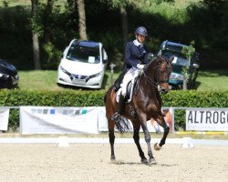 dressage horse Fleur 389 (Rhinelander, 2008, from For Compliment)