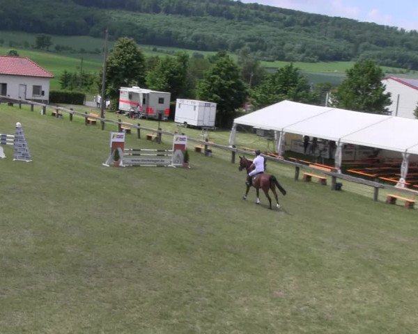 Reitturnier Wingerode 2022