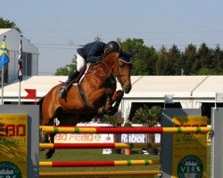 jumper Seoul (Belgian Warmblood, 2001, from Thunder van de Zuuthoeve)