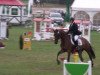 jumper Chi Wan (Hanoverian, 2006, from Concetto)