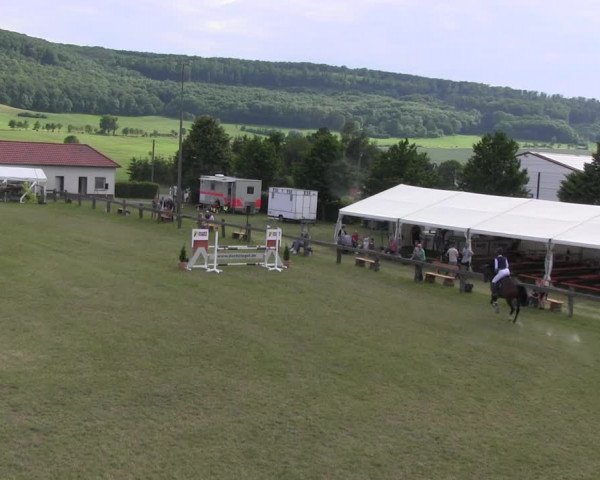 Reitturnier Wingerode 2022