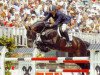 stallion San Juan (Hanoverian, 1992, from Sandro)
