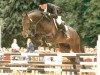 stallion Lehnbach (Holsteiner, 1994, from Landgraf I)