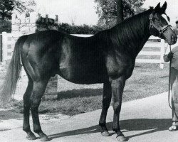 stallion Roberto xx (Thoroughbred, 1969, from Hail to Reason xx)