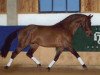 stallion Laretto Diavolo (Oldenburg, 1987, from Landadel)
