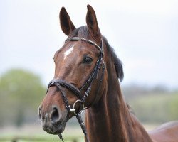 horse Grande (Rhinelander, 2001, from Grand Canyon)