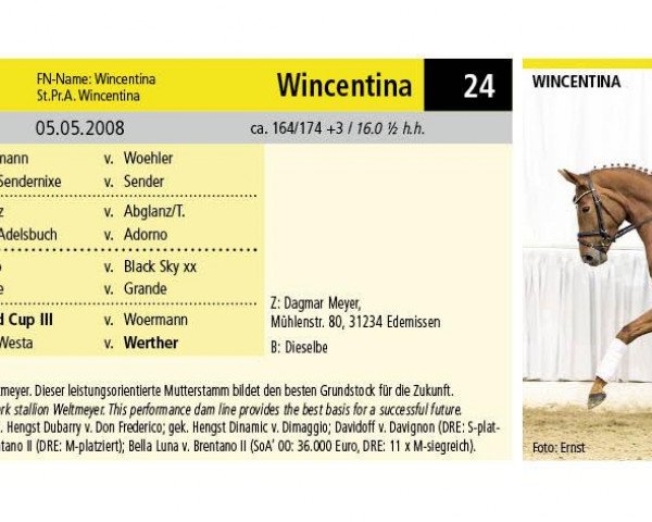 Zuchtstute Wincentina (Hannoveraner, 2008, von Weltmeyer)