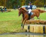 Springpferd Corpoubet AT (Schwedisches Warmblut, 2013, von Corporal VDL)