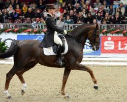 dressage horse Blind Date 25 (Hannoveraner, 2002, from Breitling W)