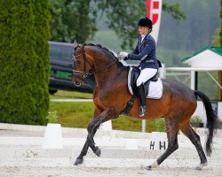 dressage horse Be Happy 3 (Hanoverian, 2016, from Buckingham)