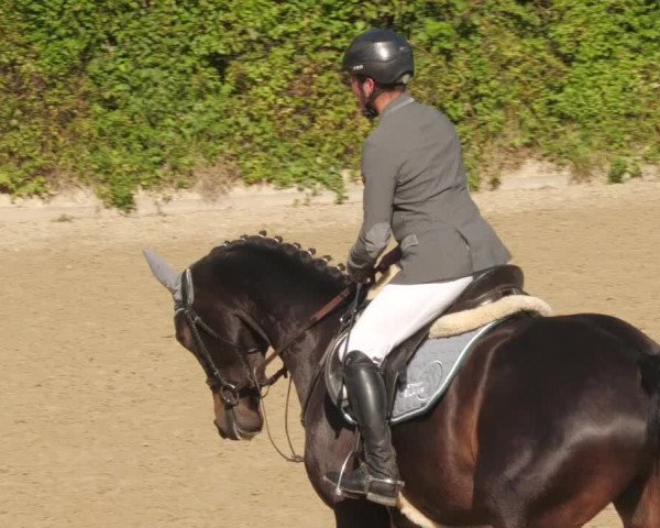 Reitturnier Böblingen 2022