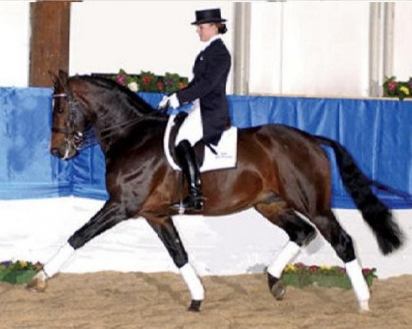stallion Rotgold (Bavarian, 1993, from Rautenstein)