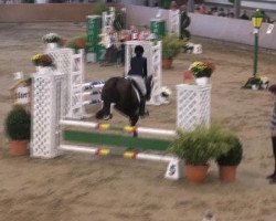 jumper Graphiti den Tip (KWPN (Royal Dutch Sporthorse), 2005)