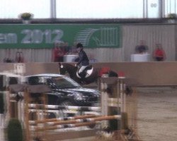 broodmare Malina 23 (German Riding Pony, 2002, from Mentos)