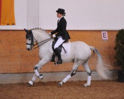 dressage horse Lettenhof's Element of Surprise (German Riding Pony, 2000, from Dörnberg's Erimon II)