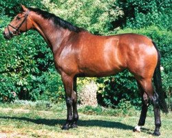 broodmare Orona (KWPN (Royal Dutch Sporthorse), 1996, from Jazz)