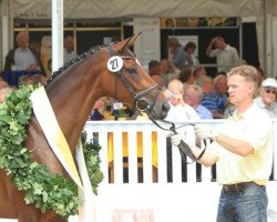 broodmare Larissa B (Hanoverian, 2008, from Lauries Crusador xx)